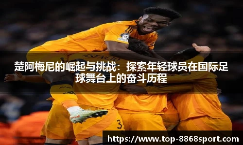 8868体育app下载