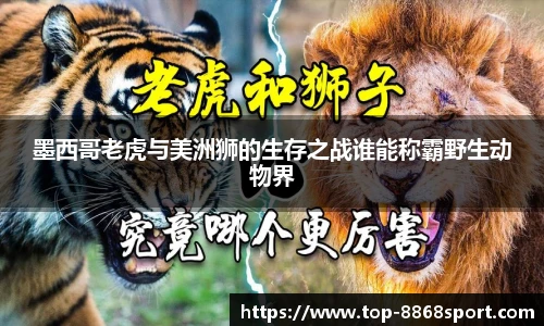 8868体育app下载